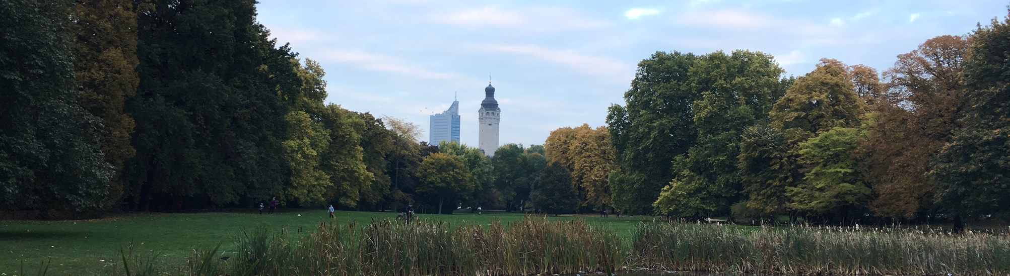 Yoga im Park oder Privat in Leipzig